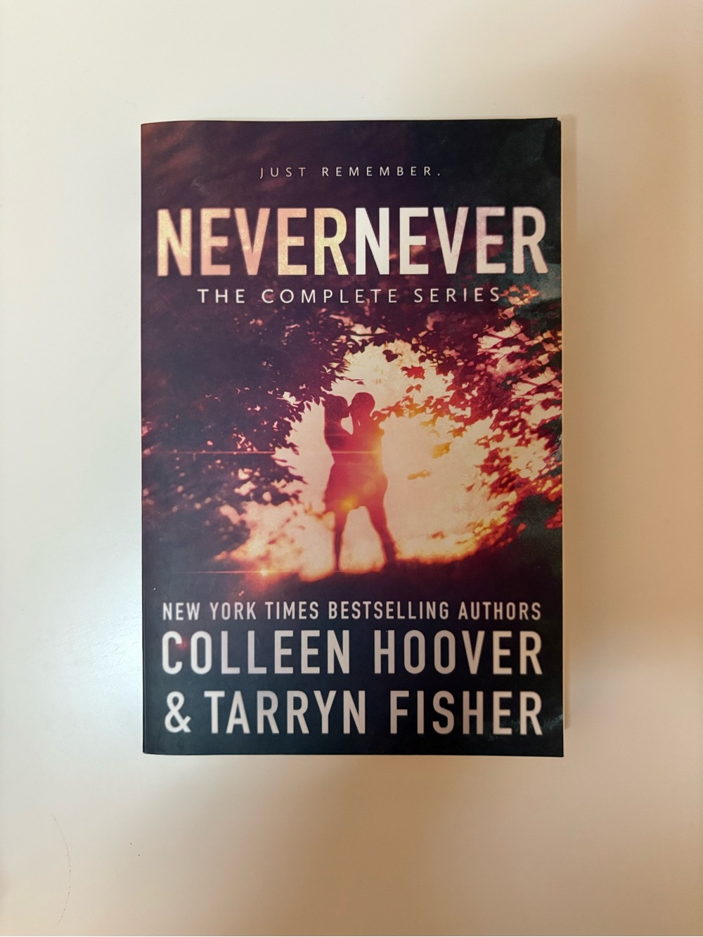OOP Never Never by Colleen Hoover and Taryn Fisher